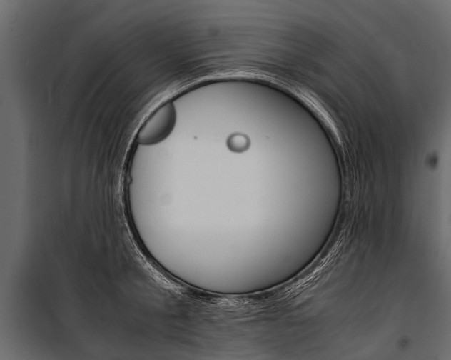 X0000100940805200806241201