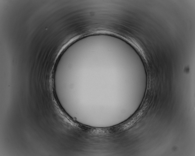 X0000100940806200806241201
