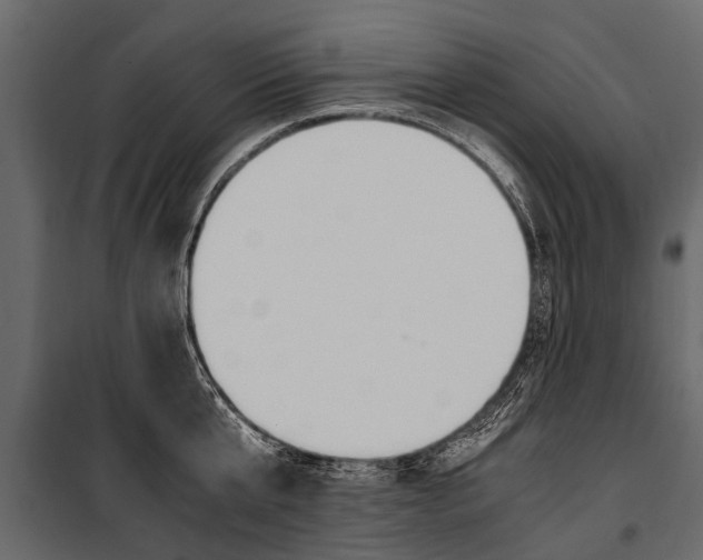 X0000100940807200806241201