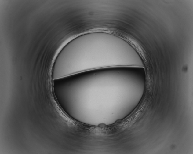X0000100940808200806241201