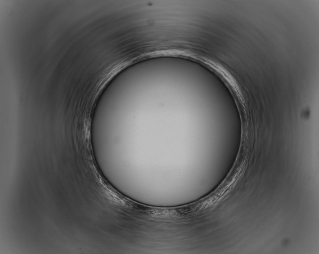 X0000100940809200806241201