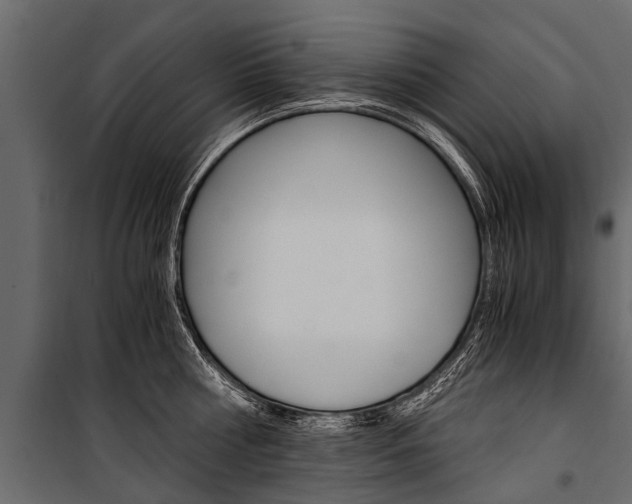 X0000100940810200806241201