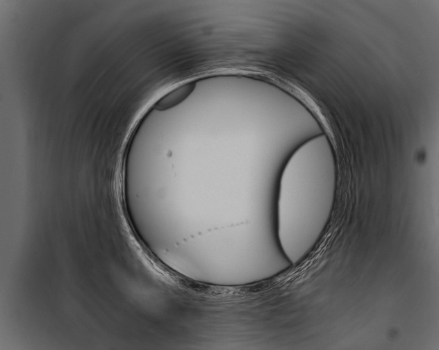 X0000100940811200806241201