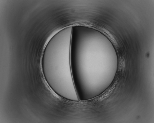 X0000100940812200806241201