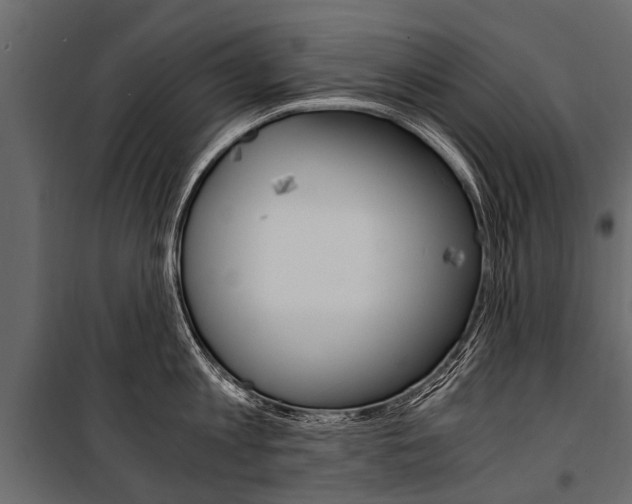 X0000100940813200806241201