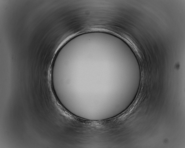 X0000100940814200806241201