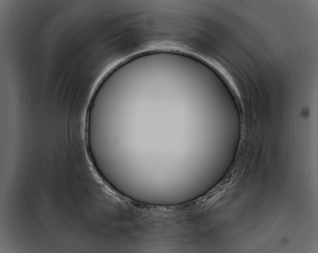 X0000100940815200806241201