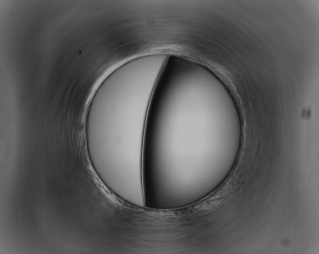 X0000100940816200806241201