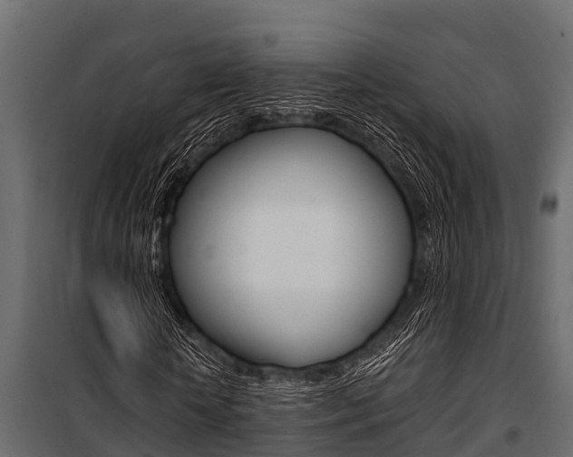 X0000100940818200806241200