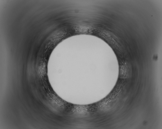 X0000100940820200806241200