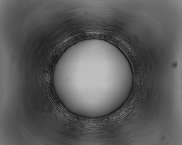 X0000100940821200806241200