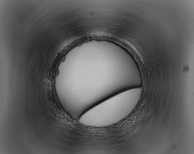 X0000100940823200806241200
