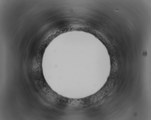 X0000100940824200806241200