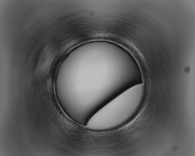 X0000100940825200806241200