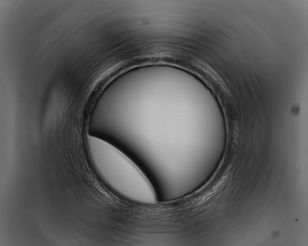 X0000100940826200806241200