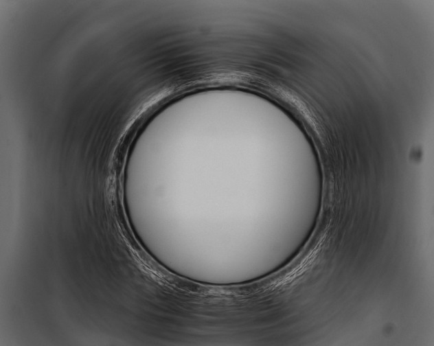 X0000100940827200806241200