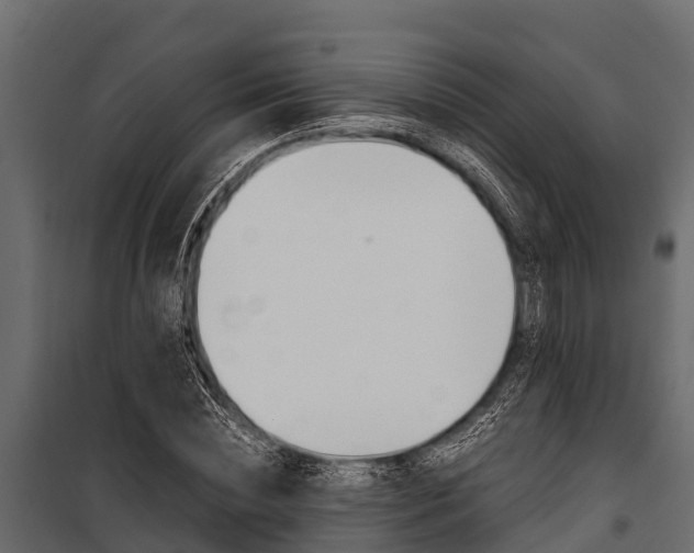 X0000100940828200806241200