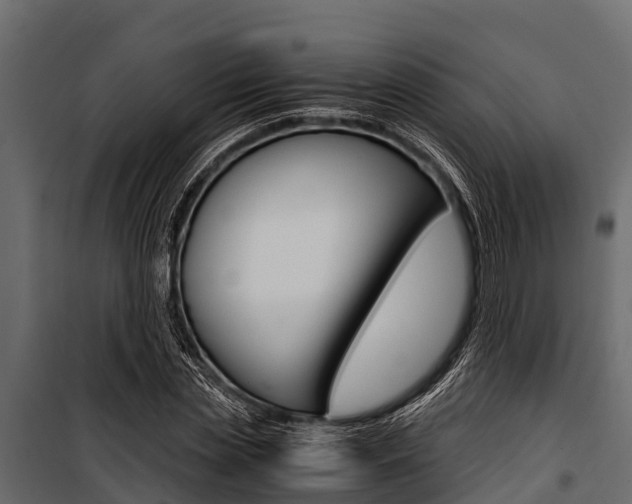 X0000100940829200806241200