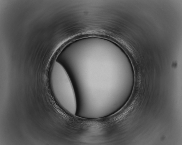 X0000100940830200806241200