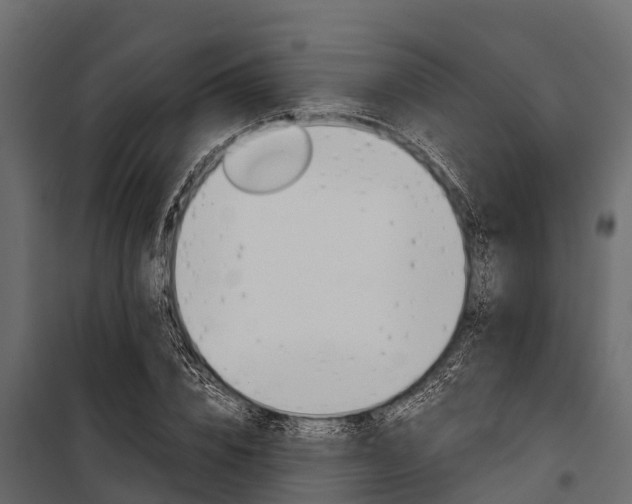 X0000100940832200806241200