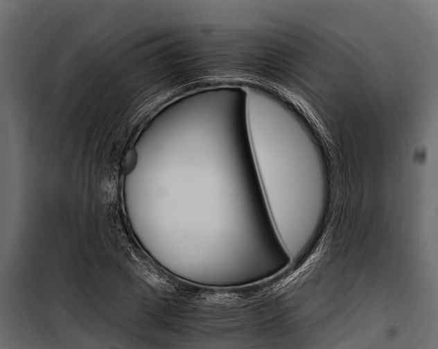 X0000100940833200806241200