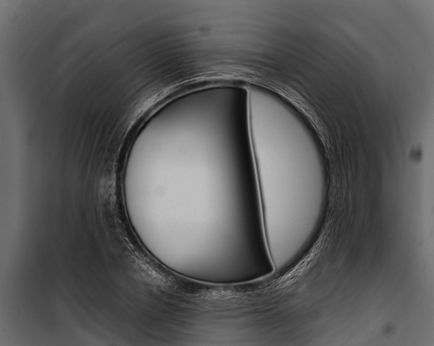 X0000100940834200806241200
