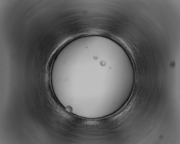 X0000100940835200806241200