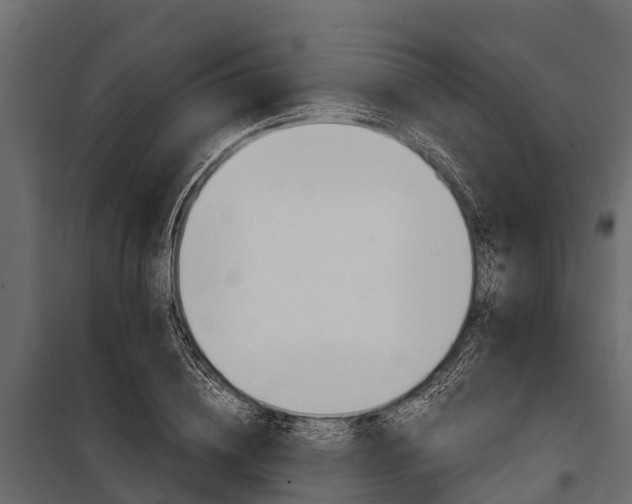 X0000100940836200806241200