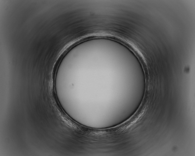 X0000100940837200806241200