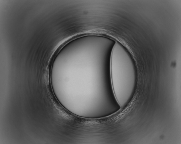 X0000100940838200806241200
