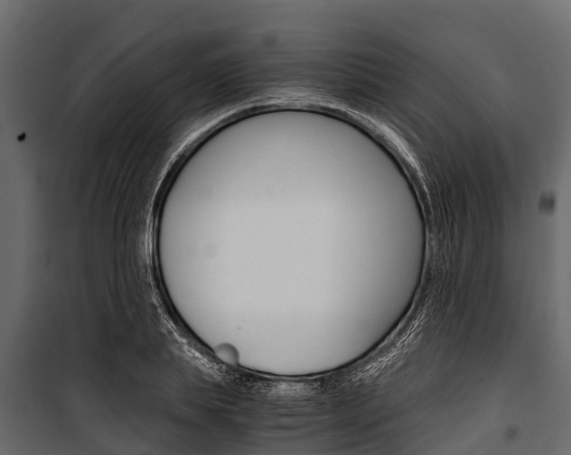 X0000100940839200806241200