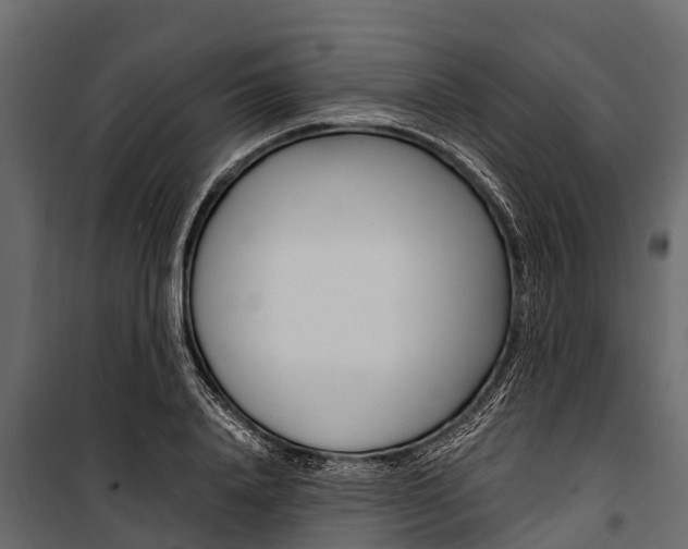 X0000100940840200806241200
