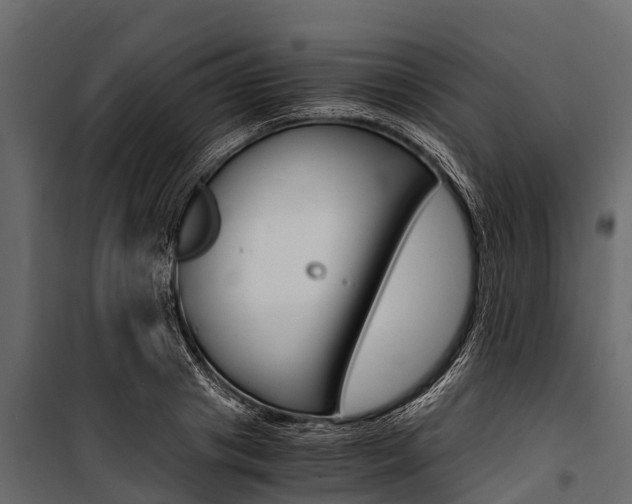 X0000100940841200806241200