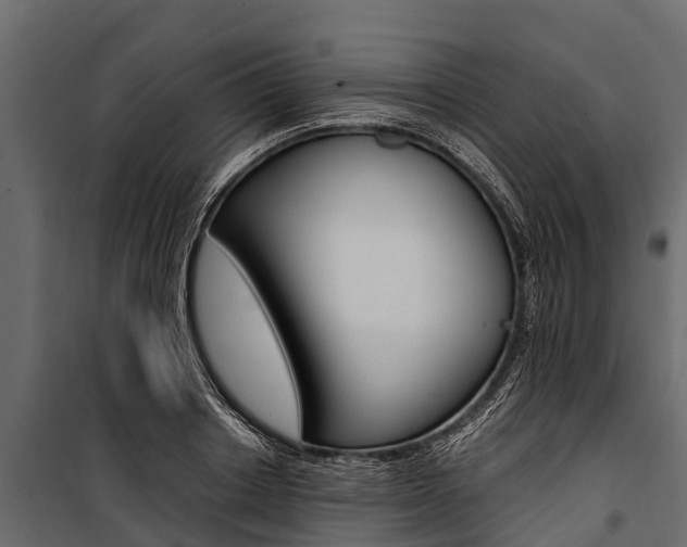 X0000100940842200806241200