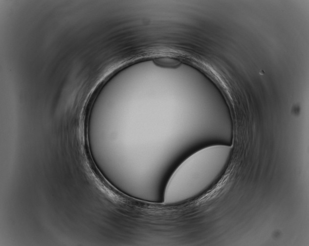 X0000100940843200806241200