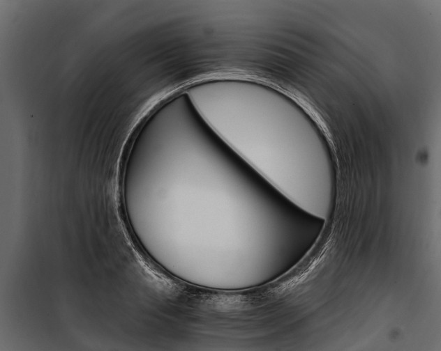 X0000100940845200806241200