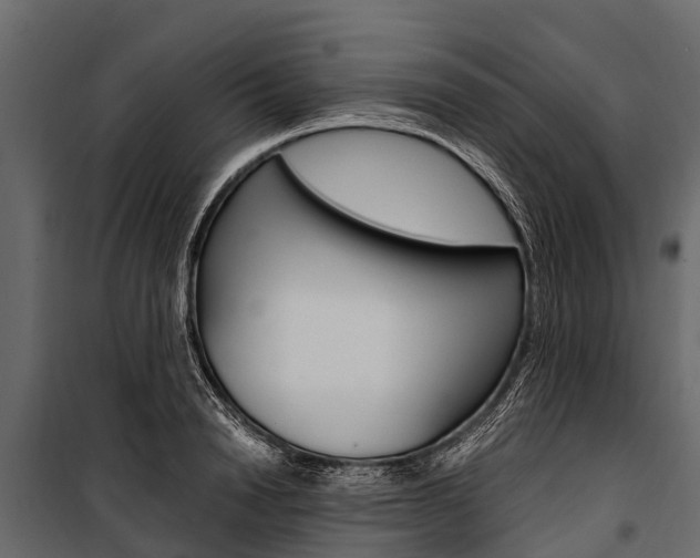 X0000100940846200806241201