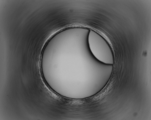 X0000100940847200806241201