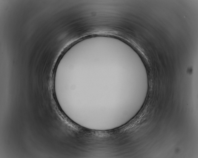 X0000100940848200806241201