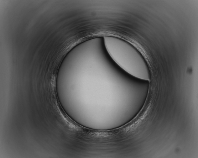 X0000100940849200806241201