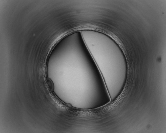 X0000100940850200806241201