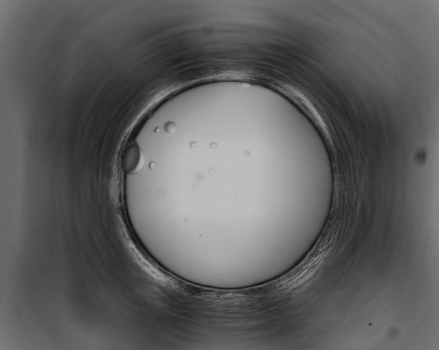X0000100940851200806241201