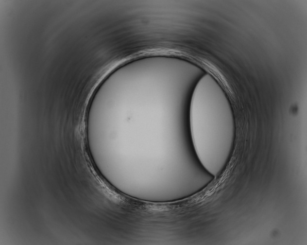 X0000100940852200806241201