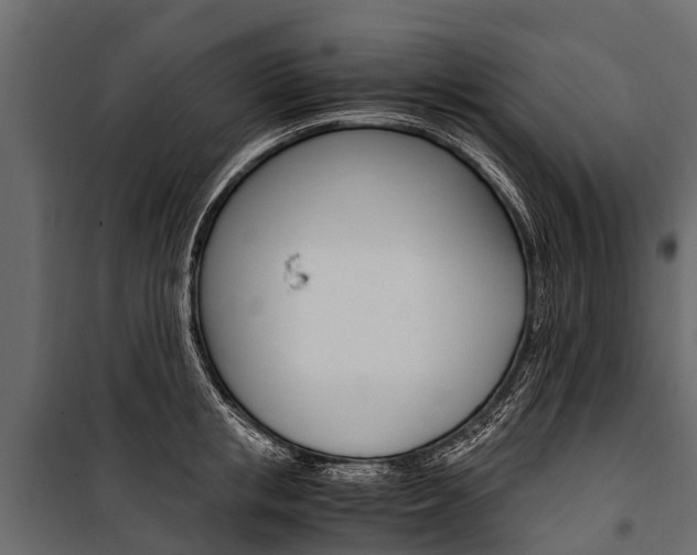 X0000100940853200806241201