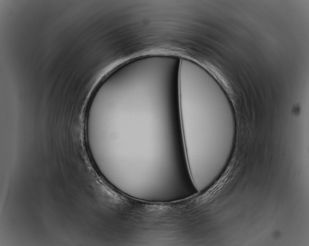 X0000100940854200806241201