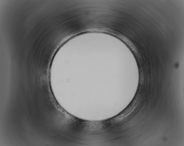 X0000100940856200806241201