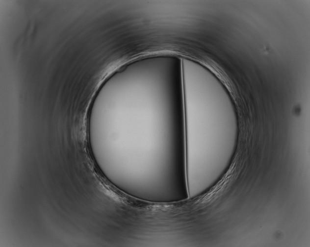 X0000100940858200806241201