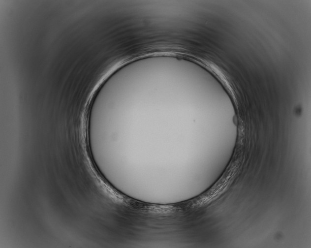 X0000100940859200806241201