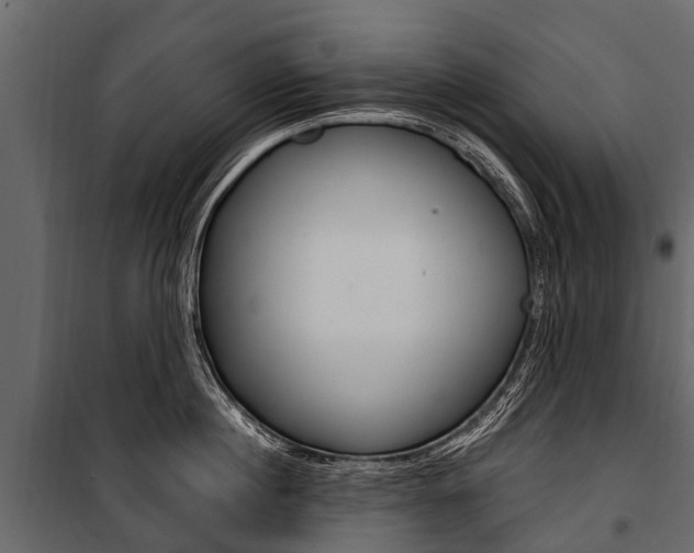X0000100940860200806241201