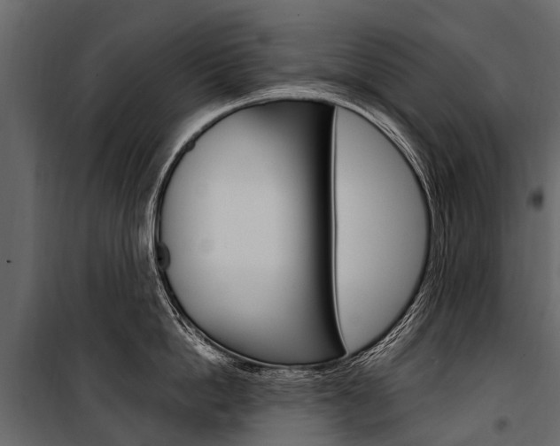 X0000100940862200806241201